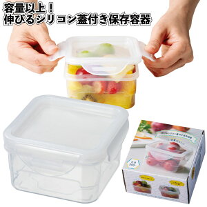 yeʈȏILтVRWtۑezVR Wt ۑe Lb`  ii ei Mtg v`Mtg LOi mxeB[ Cxg v[g X a@{ 킢 IV