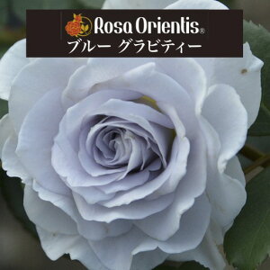 y2026N \zyu[ OreB[@Vc4zA o KN T IGeBX u[OreB[