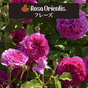 y2026N \zyt[Y@Vc4zA o KN T IGeBX