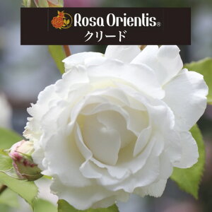 y2026N \zyN[h@Vc4zA o KN T IGeBX