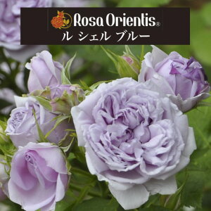 y VG u[@6c\zA o KN T IGeBX c ~ VGu[