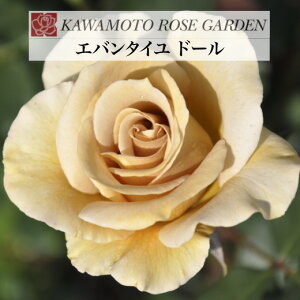 y2026N \zyGo^C h[@Vc4zA o KN ͖{o [Y Go^Ch[ G@^Ch[