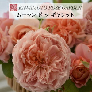 y2026N \zy[ h  Mbg@Vc4zA o KN ͖{o [Y [hMbg