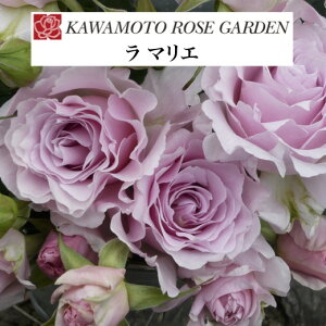 y2026N \zy }G@Vc4zA o KN ͖{o [Y }G