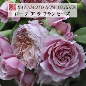 y2026N \zy[u A  tZ[Y@Vc4zA o KN ͖{o [Y [uAtZ[Y [u A tZ[Y