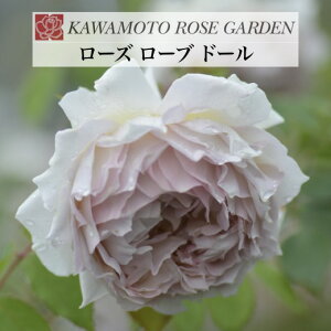 y2026N \zy[Y [u h[@Vc4zA o KN ͖{o [Y [Y[uh[