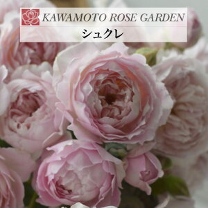 y2026N \zyVN@Vc4zA o KN ͖{o [Y