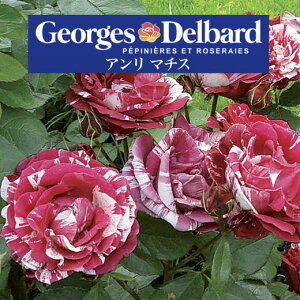 y2026N \zyA }`X@Vc4zA o KN fo[ t`[Y A}`X