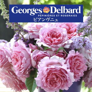 y2026N \zyrAj@Vc4zA o KN fo[ t`[Y rAuj