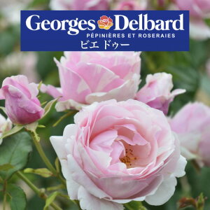 y2026N \zyrG hD[@Vc4zA o KN fo[ t`[Y rGhD[