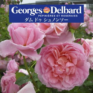 y2026N \zy_ hD Vm\[@Vc4zA o KN fo[ t`[Y _hDVm\[