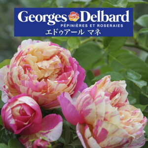 y2026N \zyGhDA[ }l@Vc4zA o KN fo[ t`[Y GhDA[}l GhA[}l