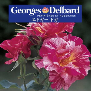 y2026N \zyGhK[ hK@Vc4zA o KN fo[ t`[Y GhK[hK