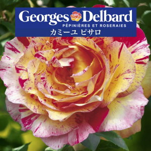 y2026N \zyJ~[ sT@Vc4zA o KN fo[ t`[Y J~[sT