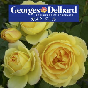 y2026N \zyJXN h[@Vc4zA o KN fo[ t`[Y JXNh[