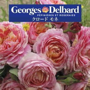 y2026N \zyN[h l@Vc4zA o KN fo[ t`[Y N[hl oc