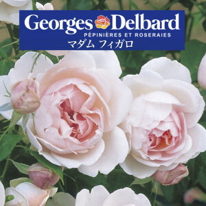 y2026N \zy}_ tBK@Vc4zA o KN fo[ t`[Y }_tBK