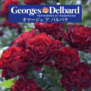 y2026N \zyI}[W A oo@Vc4zA o KN fo[ t`[Y I}[WAoo I}[Woo oc