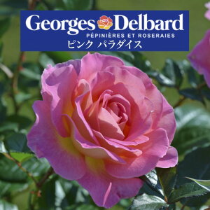 y2026N \zysN p_CX@Vc4zA o KN fo[ t`[Y sNp_CX