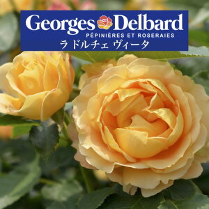 y2026N \zy h`F B[^@Vc4zA o KN fo[ t`[Y h`FB[^ h`Fr[^