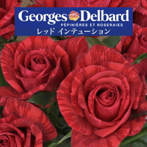 y2026N \zybh Ce[V@Vc4zA o KN fo[ t`[Y bhCe[V bhCg[V