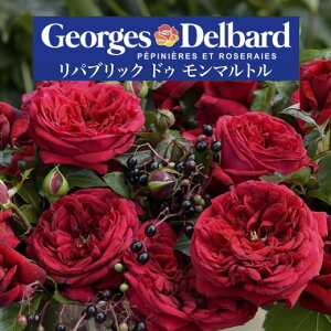 y2026N \zypubN hD }g@Vc4zA o KN fo[ t`[Y pubNhD}g