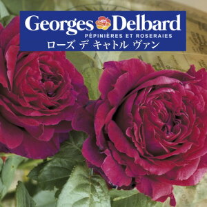 y2026N \zy[Y f Lg @@Vc4zA o KN fo[ t`[Y [YfLg@ [YfLgo