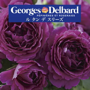 y2026N \zy ^ f X[Y@Vc4zA o KN fo[ t`[Y ^fX[Y ^ f X[Y