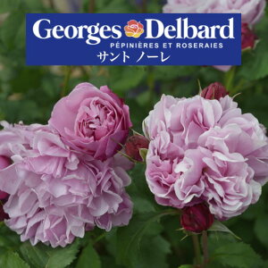 y2026N \zyTg m[@Vc4zA o KN fo[ t`[Y Tgm[