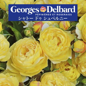 y2026N \zyVg[ hD Vxj[@Vc4zA o KN fo[ t`[Y Vg[hDVxj[