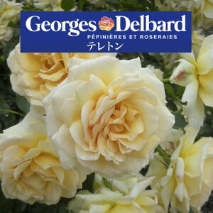 y2026N \zyeg@Vc4zA o KN fo[ t`[Y