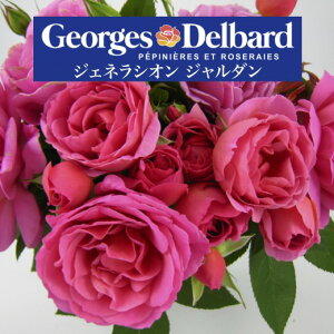 y2026N \zyWFlVI W_@Vc4zA o KN fo[ t`[Y WFlVIW_