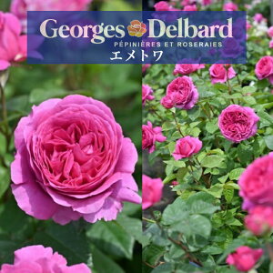 y2026N \zyGg@Vc4zA o KN fo[ Vi