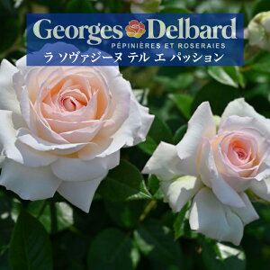 y \@W[k e G pbV@6c\zA o KN fo[ c t`[Y ~  \@W[k e G pbV  \oW[k e G pbV