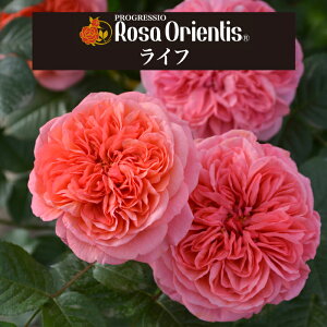 yCt@6c\zA o KN T IGeBX c ~