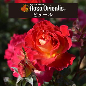 ys[@6c\zA o KN T IGeBX c ~