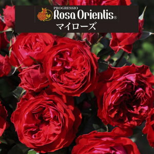 y}C[Y@6c\zA o KN T IGeBX c ~