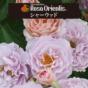 yV[Ebh@6c\zA o KN T IGeBX c ~