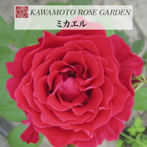 y2026N \zy~JG@Vc4zA o KN ͖{o [Y wuV[Y