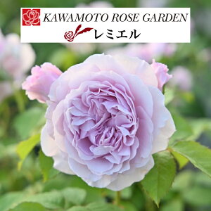 y2026N \zy~G@Vc4zA o KN ͖{o wuV[Y Vi