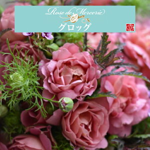 y2026N \zyObO@Vc4zA o KN ͖{o X[ Vi