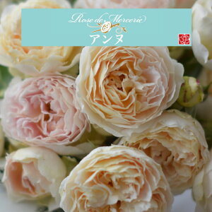 yAk@6c\zA o KN ͖{o c ~