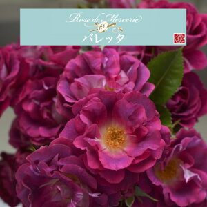 y2026N \zyob^@Vc4zA o KN ͖{o [Y hD X[