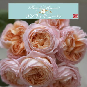 y2026N \zyRtB`[@Vc4zA o KN ͖{o [Y hD X[