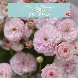 y2026N \zyv` |@Vc4zA o KN ͖{o [Y hD X[ v`|