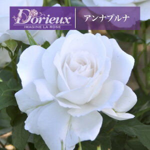 y2026N \zyAivi@Vc4zA o KN h t`[Y