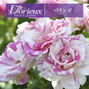 y2026N \zyoS@Vc4zA o KN h t`[Y