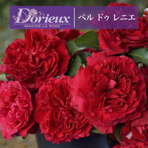 y2026N \zyx hD jG@Vc4zA o KN h t`[Y xhDjG