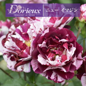 y2026N \zyj[ C}W@Vc4zA o KN h t`[Y