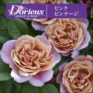 y2026N \zysN re[W@Vc4zA o KN h t`[Y sNre[W